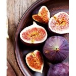 Саженец инжира "Фиолетовый Абхазский" Саженец инжира "Фиолетовый Абхазский"